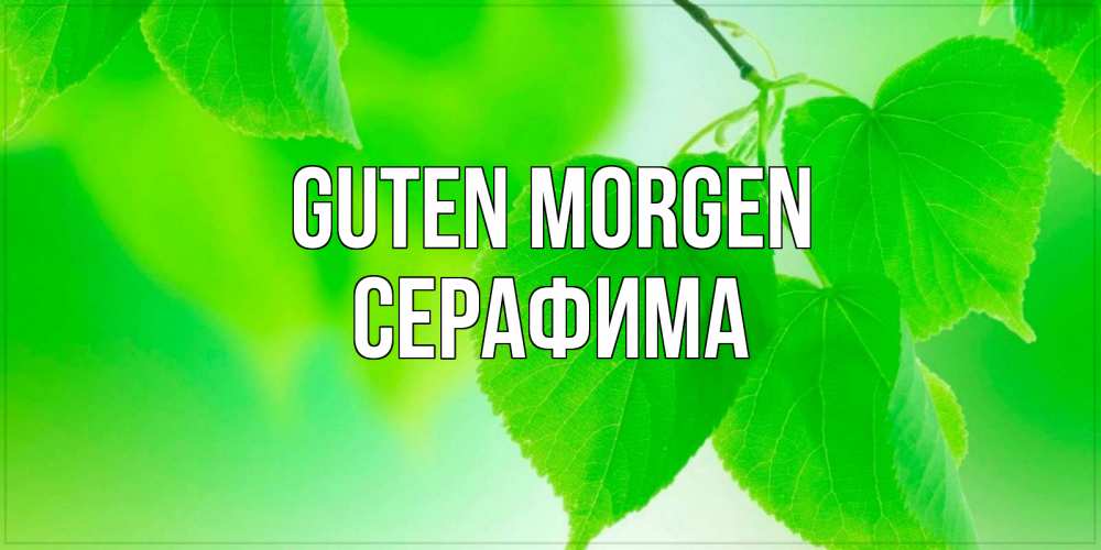 Открытка на каждый день с именем, Серафима Guten Morgen доброе утро с березовыми листьями Прикольная открытка с пожеланием онлайн скачать бесплатно 