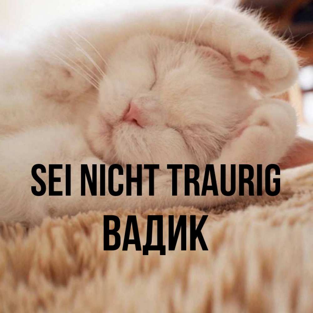 Открытка на каждый день с именем, Вадик Sei nicht traurig Котенок спит Прикольная открытка с пожеланием онлайн скачать бесплатно 