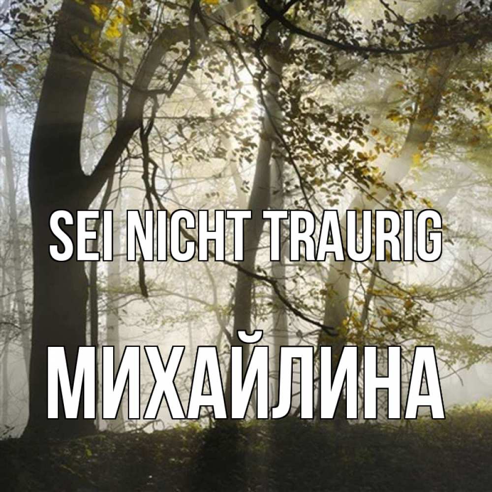 Открытка на каждый день с именем, Михайлина Sei nicht traurig лес и свет Прикольная открытка с пожеланием онлайн скачать бесплатно 