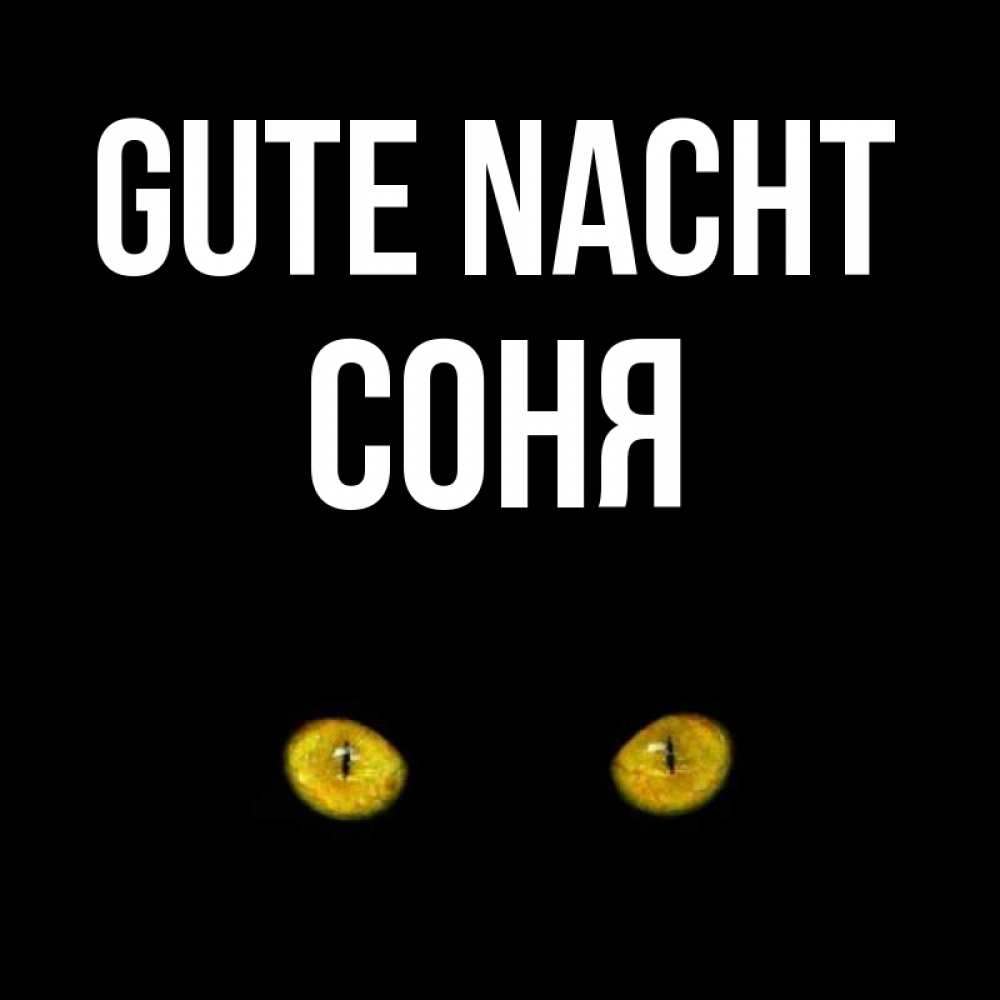 Открытка на каждый день с именем, Соня Gute Nacht сладких снов бесстрашный мой дружочек Прикольная открытка с пожеланием онлайн скачать бесплатно 