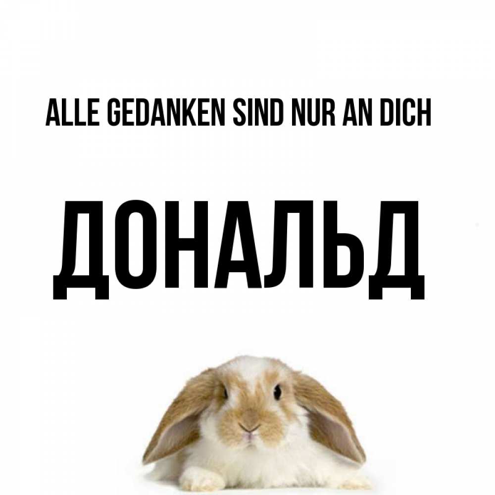 Открытка на каждый день с именем, Дональд Alle Gedanken sind nur an dich подписать своими руками онлайн Прикольная открытка с пожеланием онлайн скачать бесплатно 
