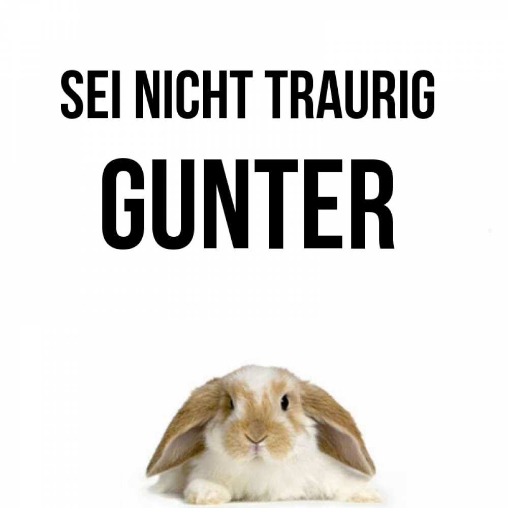 Открытка на каждый день с именем, Gunter Sei nicht traurig коричнево белый заяц с большими ушками Прикольная открытка с пожеланием онлайн скачать бесплатно 