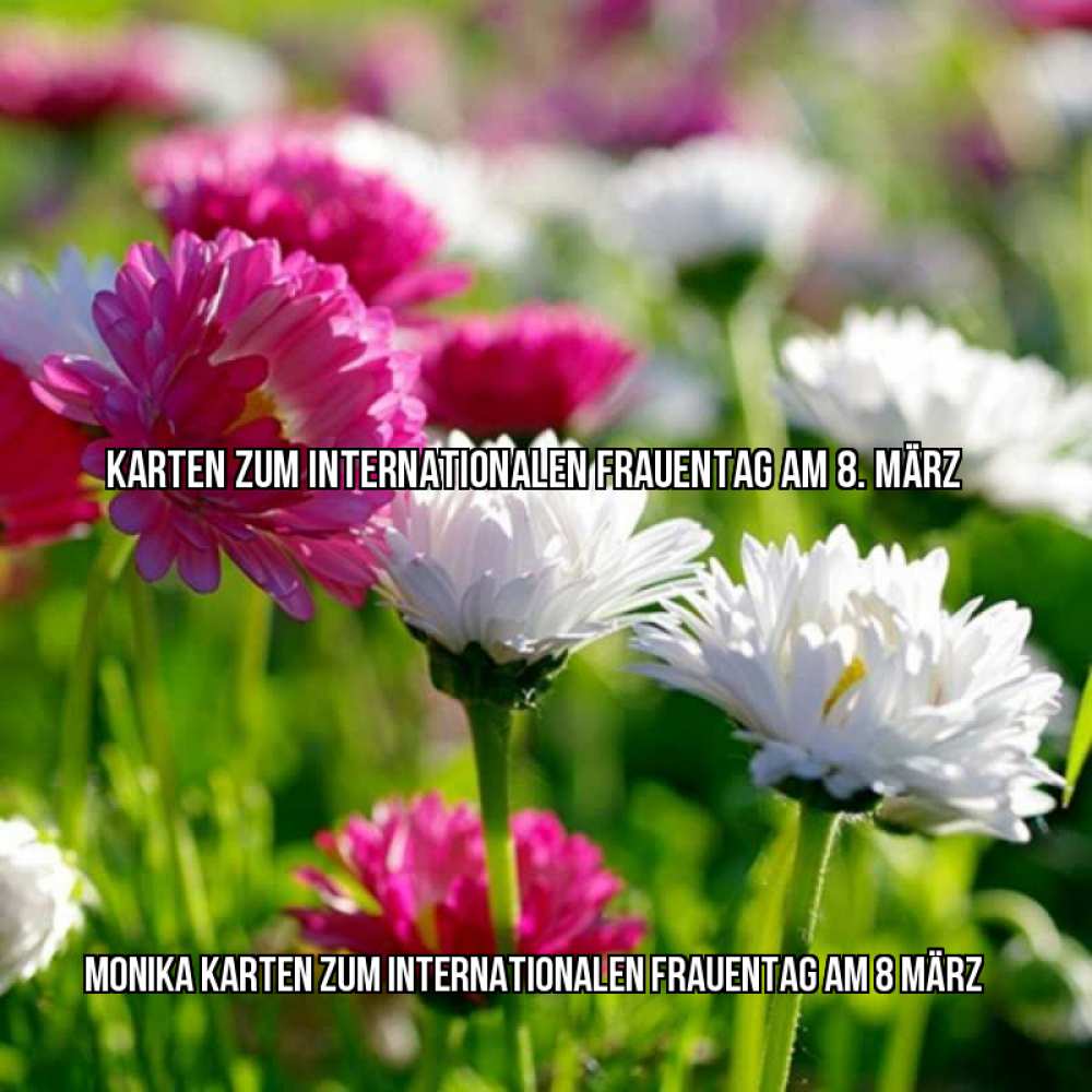 Картинка Karten zum Internationalen Frauentag am 8. März, Monika