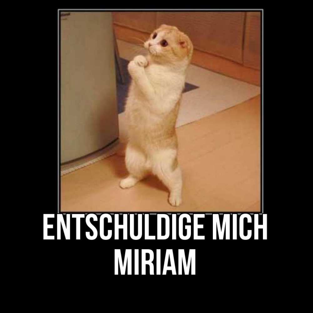 Открытка на каждый день с именем, Miriam Entschuldige mich открытка с милым несчастным котиком просящим прощения Прикольная открытка с пожеланием онлайн скачать бесплатно 