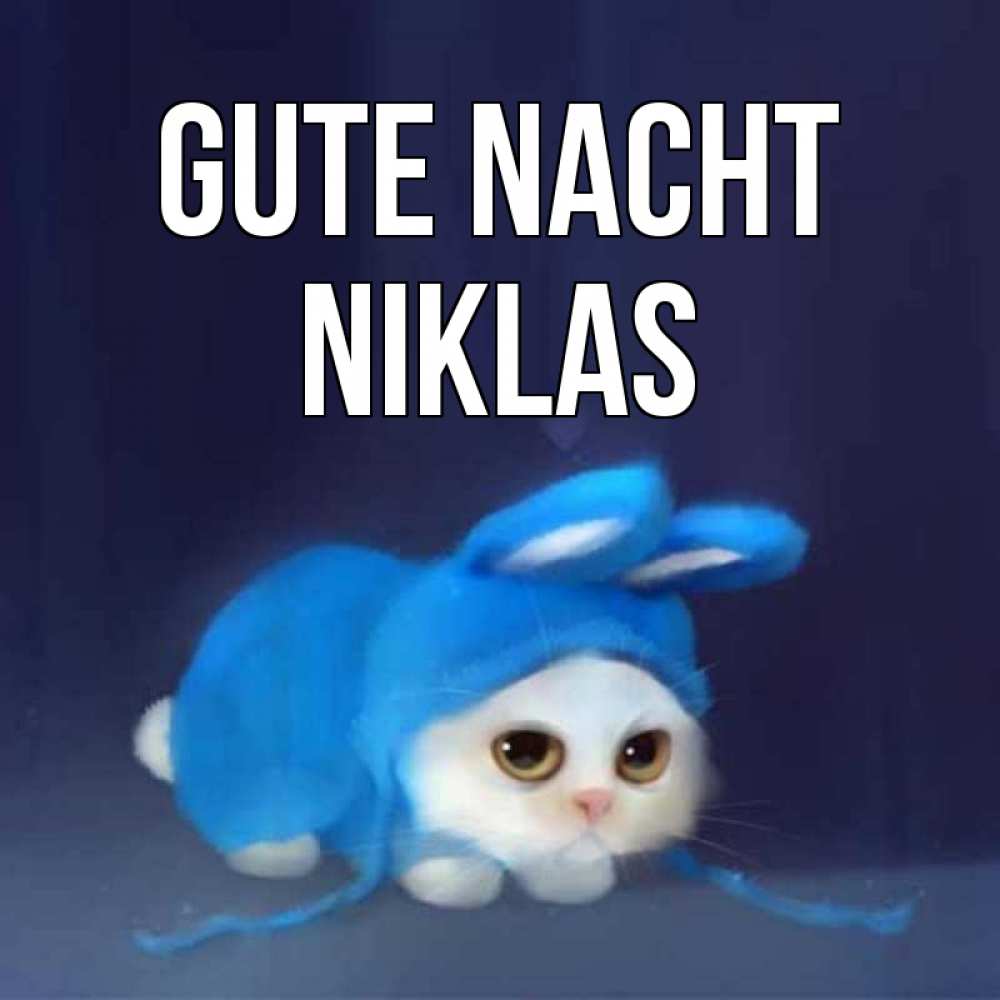 Открытка на каждый день с именем, Niklas Gute Nacht кот в голубом костюме кролика с ушками Прикольная открытка с пожеланием онлайн скачать бесплатно 