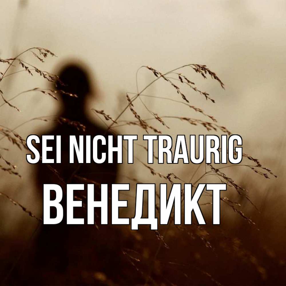Открытка на каждый день с именем, Венедикт Sei nicht traurig грусть Прикольная открытка с пожеланием онлайн скачать бесплатно 