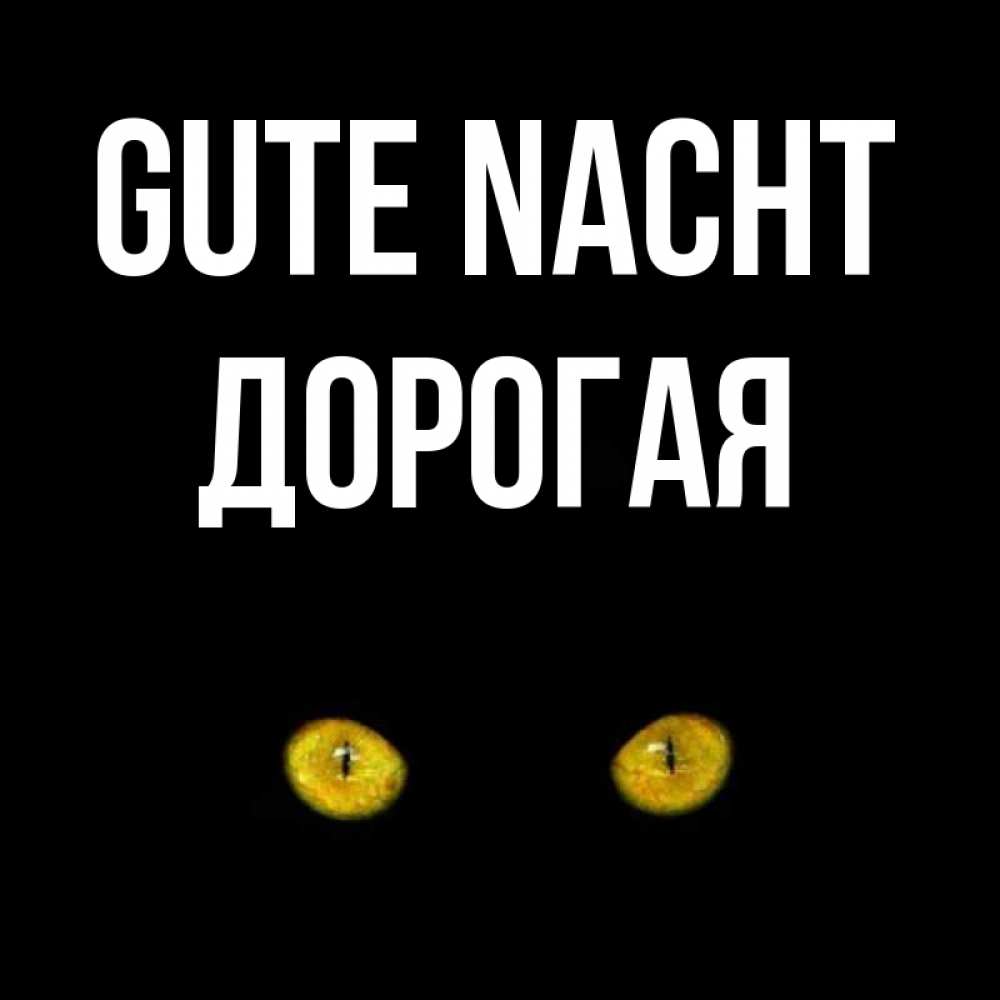 Открытка на каждый день с именем, Дорогая Gute Nacht сладких снов бесстрашный мой дружочек Прикольная открытка с пожеланием онлайн скачать бесплатно 