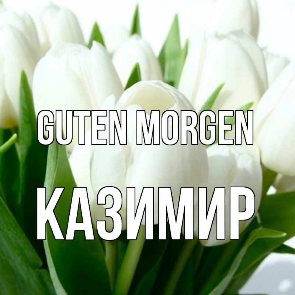 Открытка на каждый день с именем, Казимир Guten Morgen открытки на каждый день по именам Прикольная открытка с пожеланием онлайн скачать бесплатно 