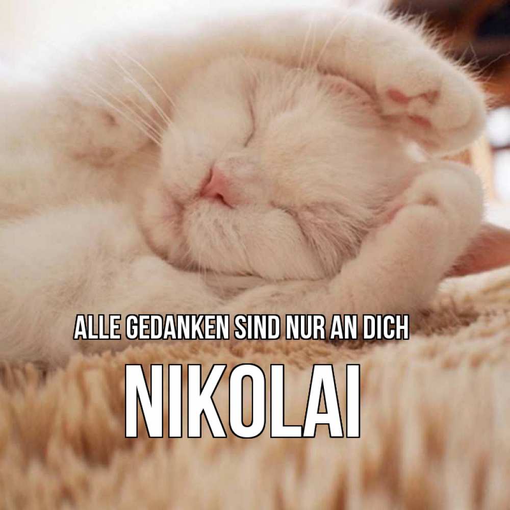 Открытка на каждый день с именем, Nikolai Alle Gedanken sind nur an dich для любимой девушки милота Прикольная открытка с пожеланием онлайн скачать бесплатно 