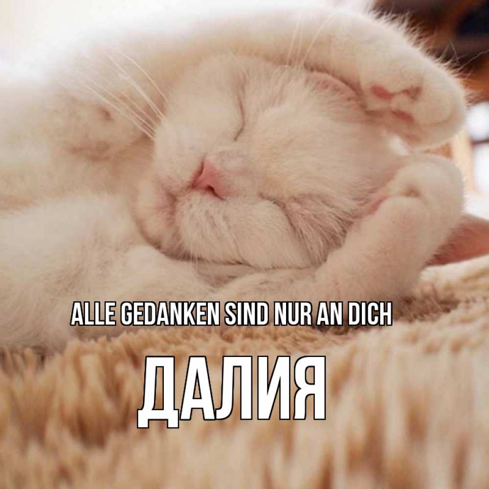 Открытка на каждый день с именем, Далия Alle Gedanken sind nur an dich для любимой девушки милота Прикольная открытка с пожеланием онлайн скачать бесплатно 