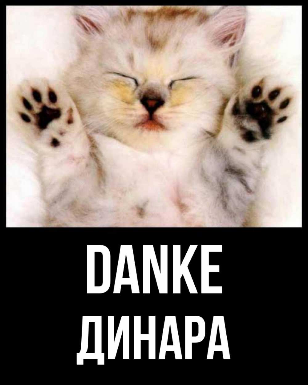 Открытка на каждый день с именем, Динара Danke маленький котенок Прикольная открытка с пожеланием онлайн скачать бесплатно 