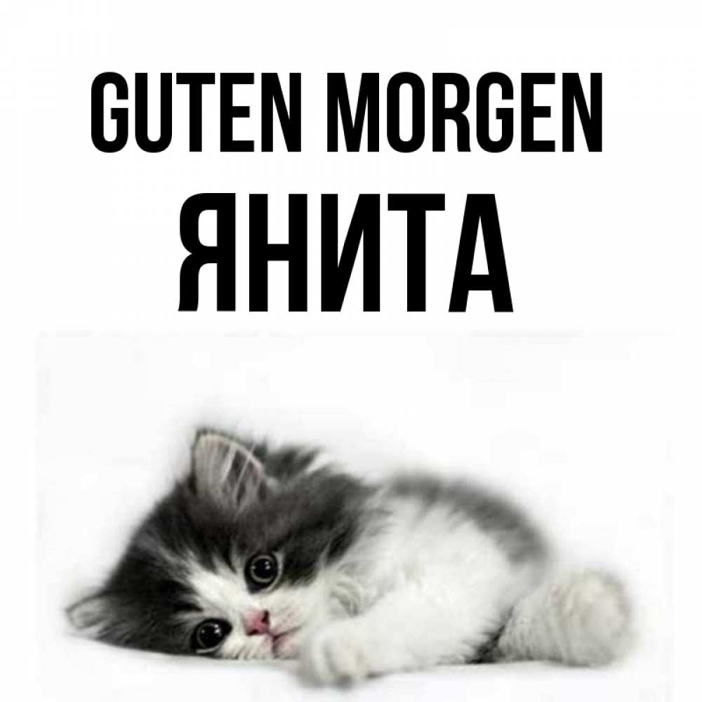 Открытка на каждый день с именем, Янита Guten Morgen кот лапки Прикольная открытка с пожеланием онлайн скачать бесплатно 