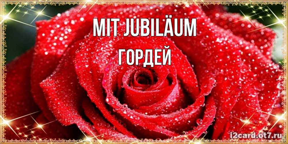 Открытка на каждый день с именем, Гордей Mit Jubiläum роса и роза. открытка с красивой розой Прикольная открытка с пожеланием онлайн скачать бесплатно 