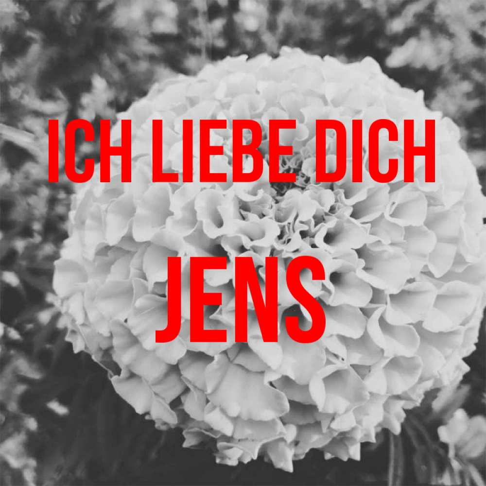 Открытка на каждый день с именем, Jens Ich liebe dich подпись Прикольная открытка с пожеланием онлайн скачать бесплатно 