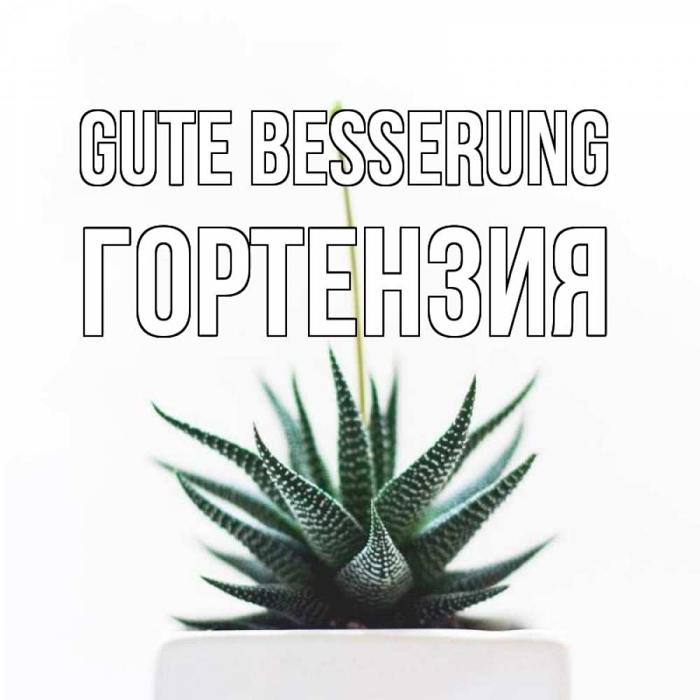 Открытка на каждый день с именем, Гортензия Gute Besserung короче это непонятная колючка Прикольная открытка с пожеланием онлайн скачать бесплатно 