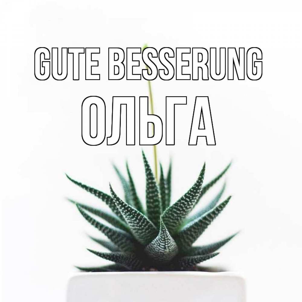 Открытка на каждый день с именем, Ольга Gute Besserung короче это непонятная колючка Прикольная открытка с пожеланием онлайн скачать бесплатно 