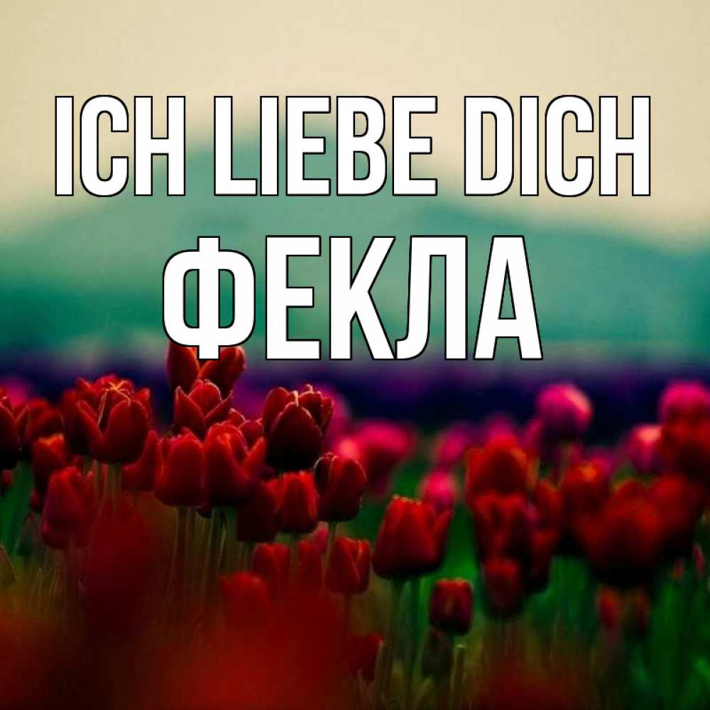 Открытка на каждый день с именем, Фекла Ich liebe dich тюльпаны 4 Прикольная открытка с пожеланием онлайн скачать бесплатно 