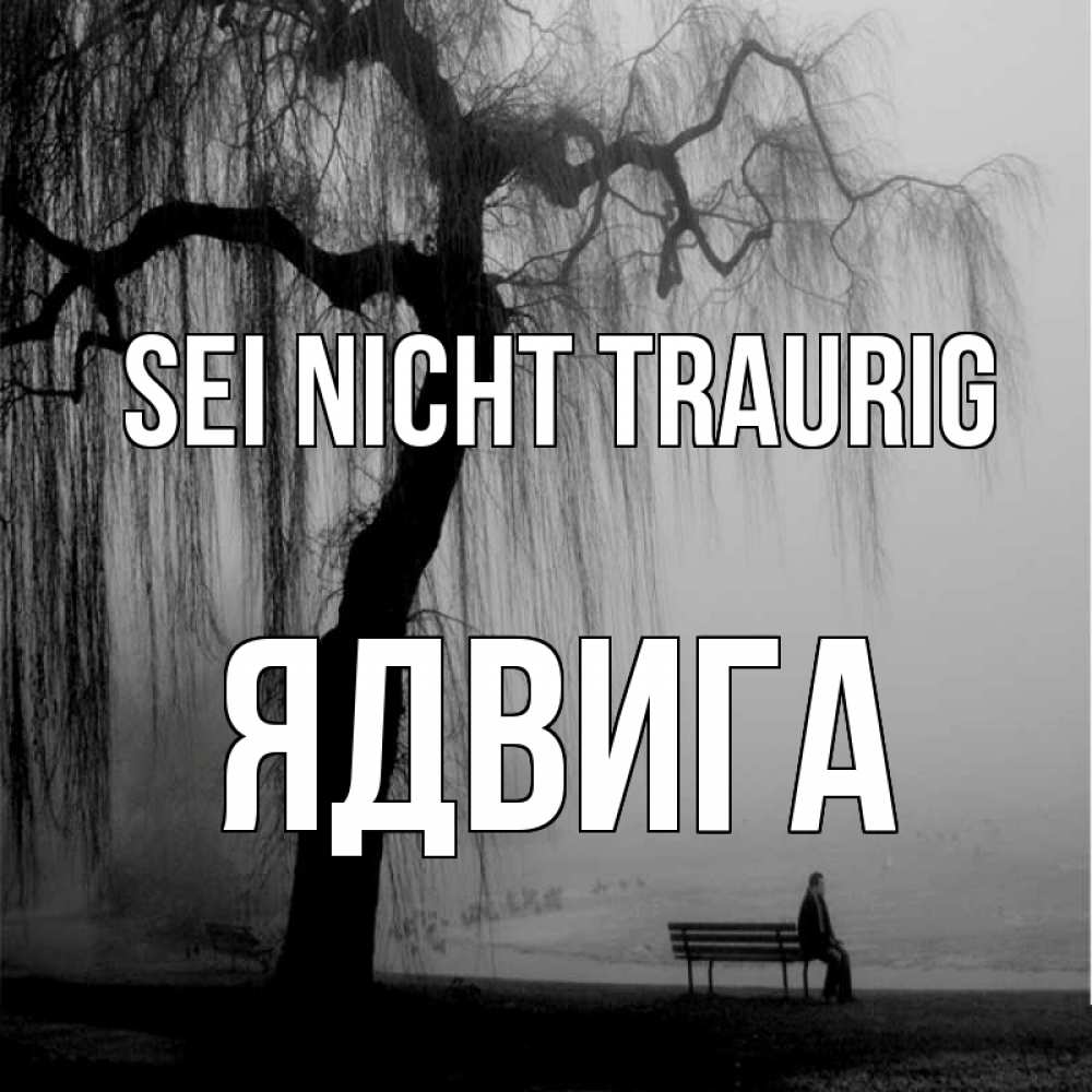 Открытка на каждый день с именем, Ядвига Sei nicht traurig висящие ветки дерева и лавочка под деревом Прикольная открытка с пожеланием онлайн скачать бесплатно 