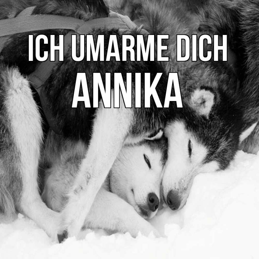 Открытка на каждый день с именем, Annika Ich umarme dich собачки в упряжке Прикольная открытка с пожеланием онлайн скачать бесплатно 