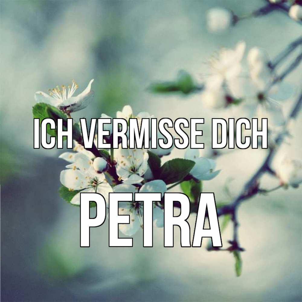 Открытка на каждый день с именем, Petra Ich vermisse dich весна Прикольная открытка с пожеланием онлайн скачать бесплатно 