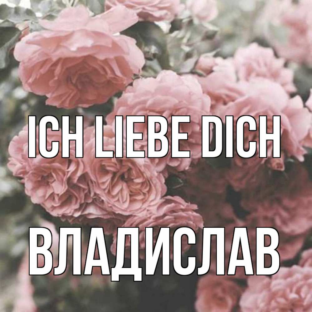 Открытка на каждый день с именем, Владислав Ich liebe dich розы 3 Прикольная открытка с пожеланием онлайн скачать бесплатно 