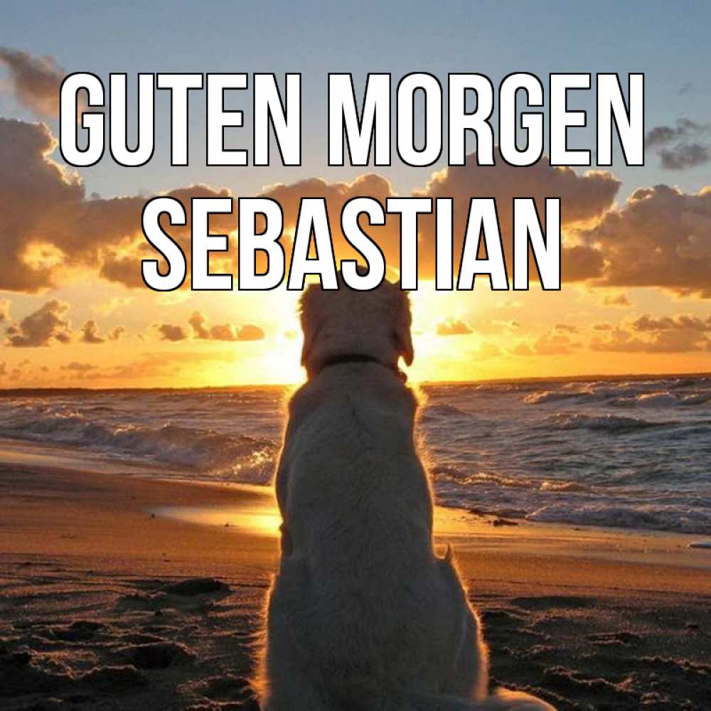 Открытка на каждый день с именем, Sebastian Guten Morgen восход солнца Прикольная открытка с пожеланием онлайн скачать бесплатно 