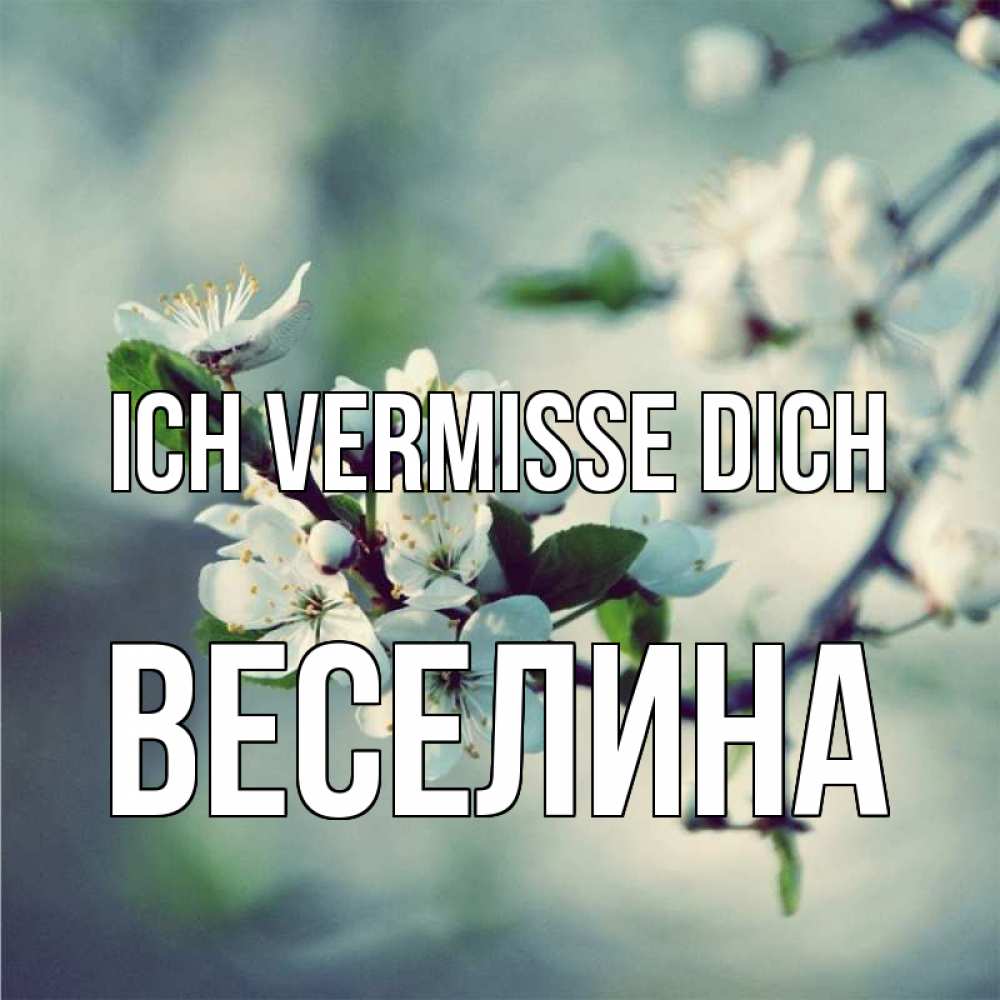 Открытка на каждый день с именем, Веселина Ich vermisse dich весна Прикольная открытка с пожеланием онлайн скачать бесплатно 