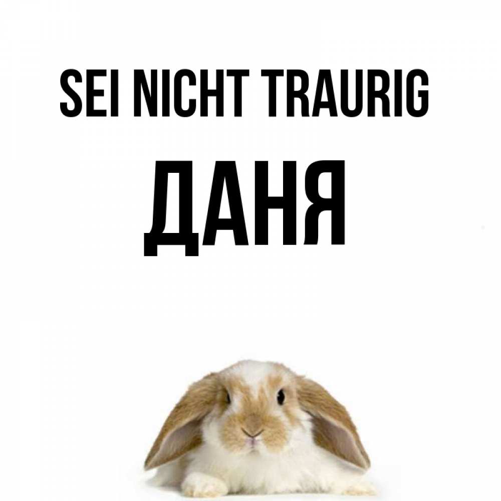 Открытка на каждый день с именем, Даня Sei nicht traurig коричнево белый заяц с большими ушками Прикольная открытка с пожеланием онлайн скачать бесплатно 