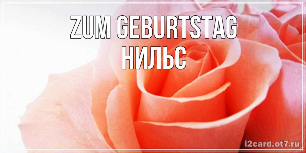 Открытка на каждый день с именем, Нильс Zum Geburtstag розы для поздравления с днем рождения Прикольная открытка с пожеланием онлайн скачать бесплатно 