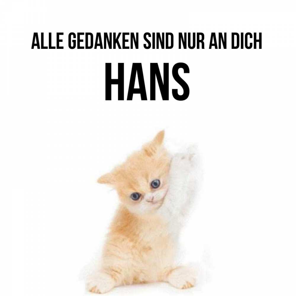 Открытка на каждый день с именем, Hans Alle Gedanken sind nur an dich зверушки и милота Прикольная открытка с пожеланием онлайн скачать бесплатно 