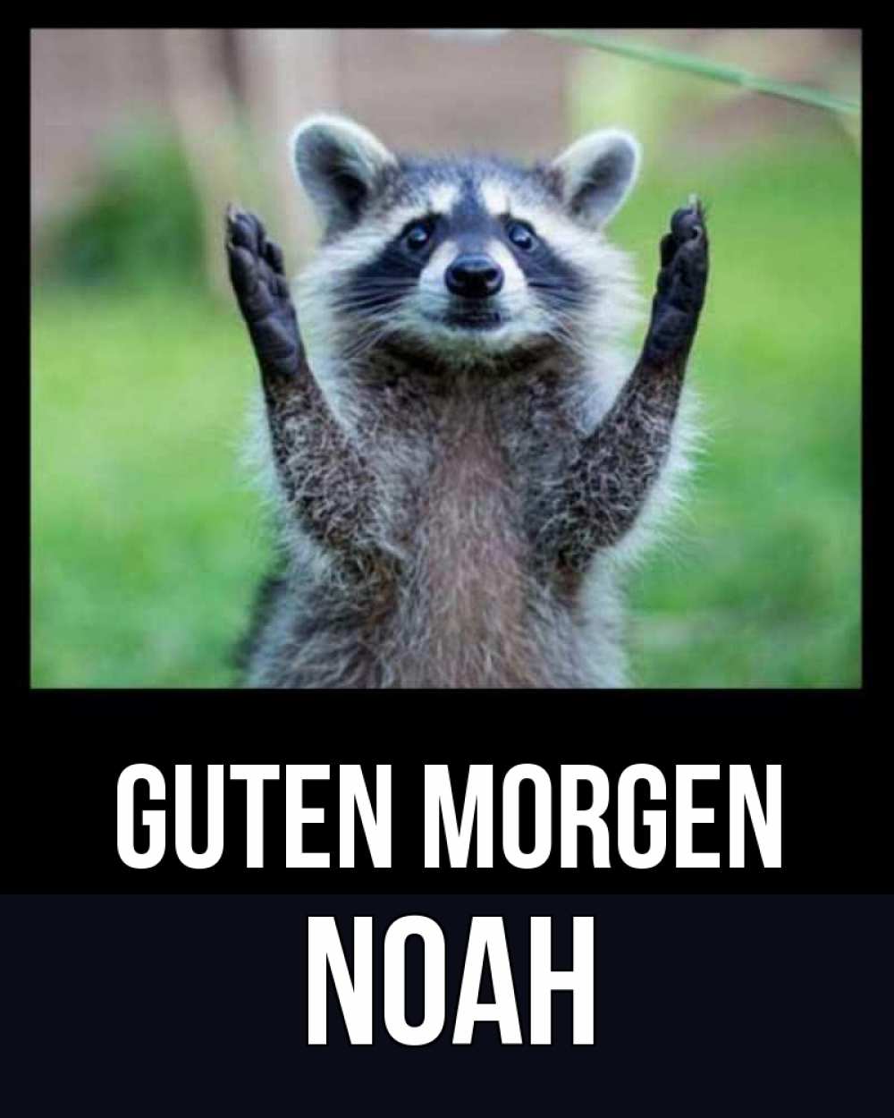 Открытка на каждый день с именем, Noah Guten Morgen хорошее настроение утречком Прикольная открытка с пожеланием онлайн скачать бесплатно 