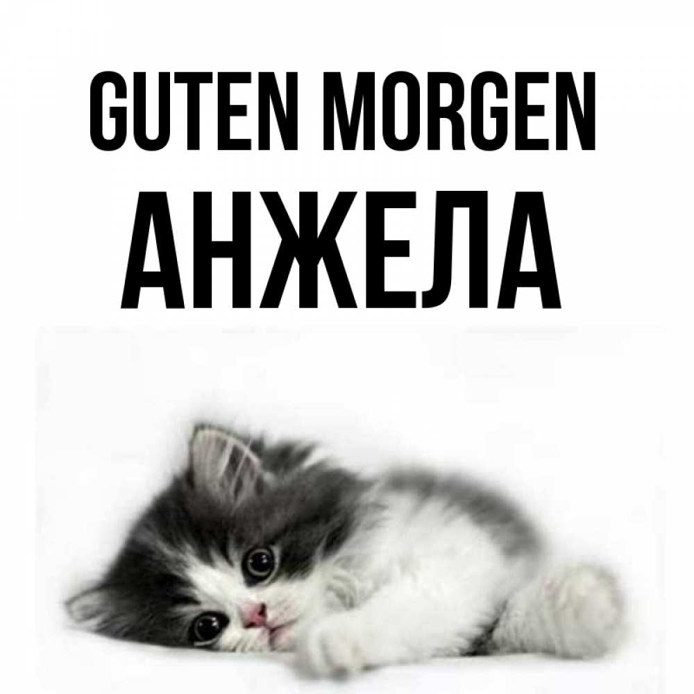 Открытка на каждый день с именем, Анжела Guten Morgen кот лапки Прикольная открытка с пожеланием онлайн скачать бесплатно 
