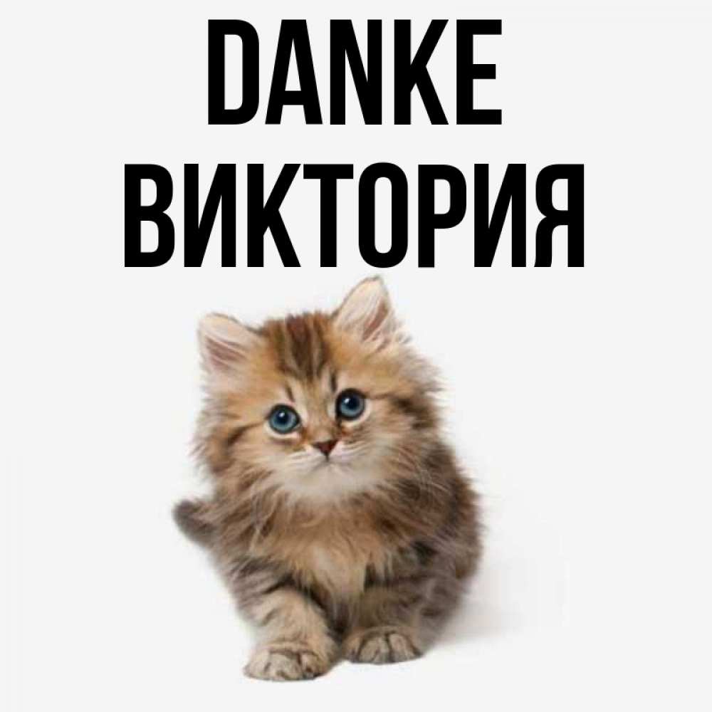 Открытка на каждый день с именем, Виктория Danke пушистый котик Прикольная открытка с пожеланием онлайн скачать бесплатно 