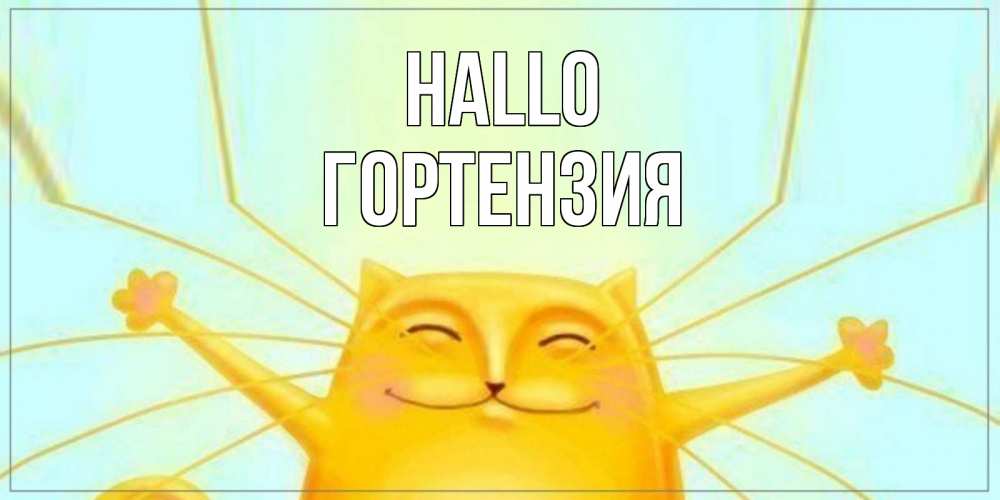 Открытка на каждый день с именем, Гортензия Hallo кот Прикольная открытка с пожеланием онлайн скачать бесплатно 