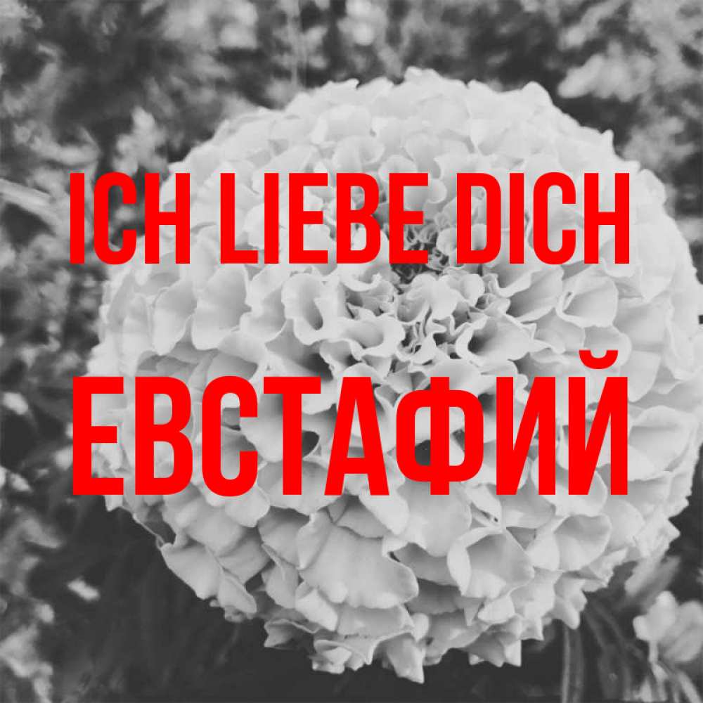 Открытка на каждый день с именем, Евстафий Ich liebe dich подпись Прикольная открытка с пожеланием онлайн скачать бесплатно 