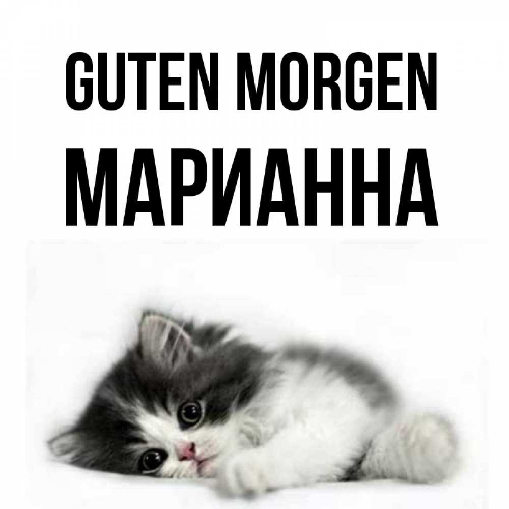 Открытка на каждый день с именем, Марианна Guten Morgen кот лапки Прикольная открытка с пожеланием онлайн скачать бесплатно 