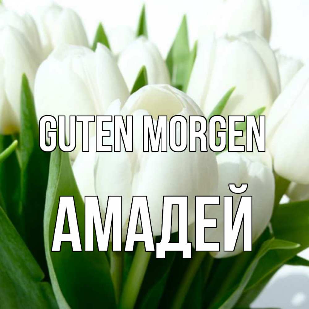 Открытка на каждый день с именем, Амадей Guten Morgen открытки на каждый день по именам Прикольная открытка с пожеланием онлайн скачать бесплатно 
