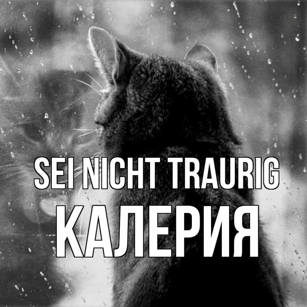 Открытка на каждый день с именем, Калерия Sei nicht traurig отражение кота 1 Прикольная открытка с пожеланием онлайн скачать бесплатно 