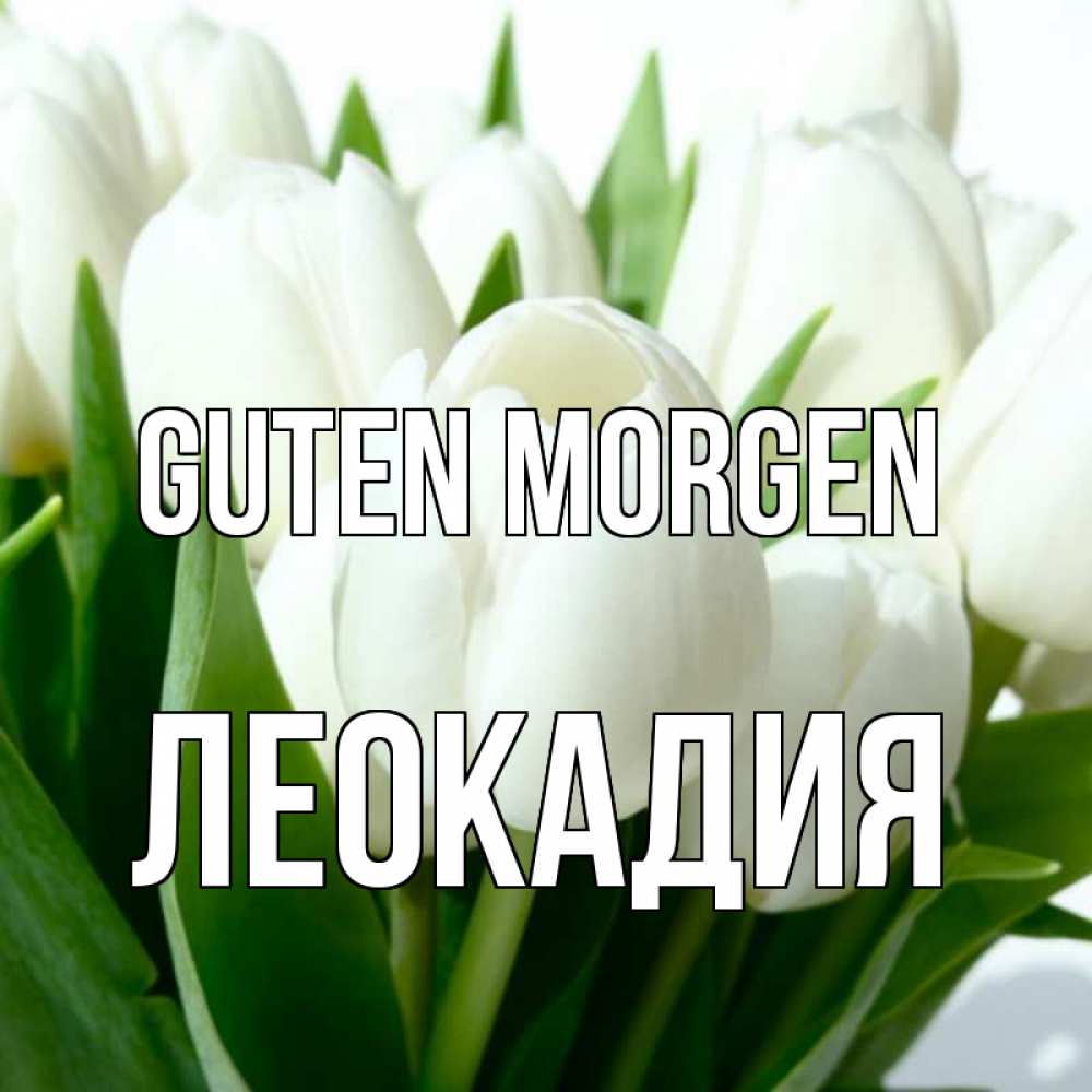 Открытка на каждый день с именем, Леокадия Guten Morgen открытки на каждый день по именам Прикольная открытка с пожеланием онлайн скачать бесплатно 