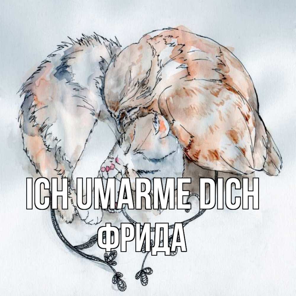 Открытка на каждый день с именем, Фрида Ich umarme dich можно быть вместе даже когда очень разные Прикольная открытка с пожеланием онлайн скачать бесплатно 