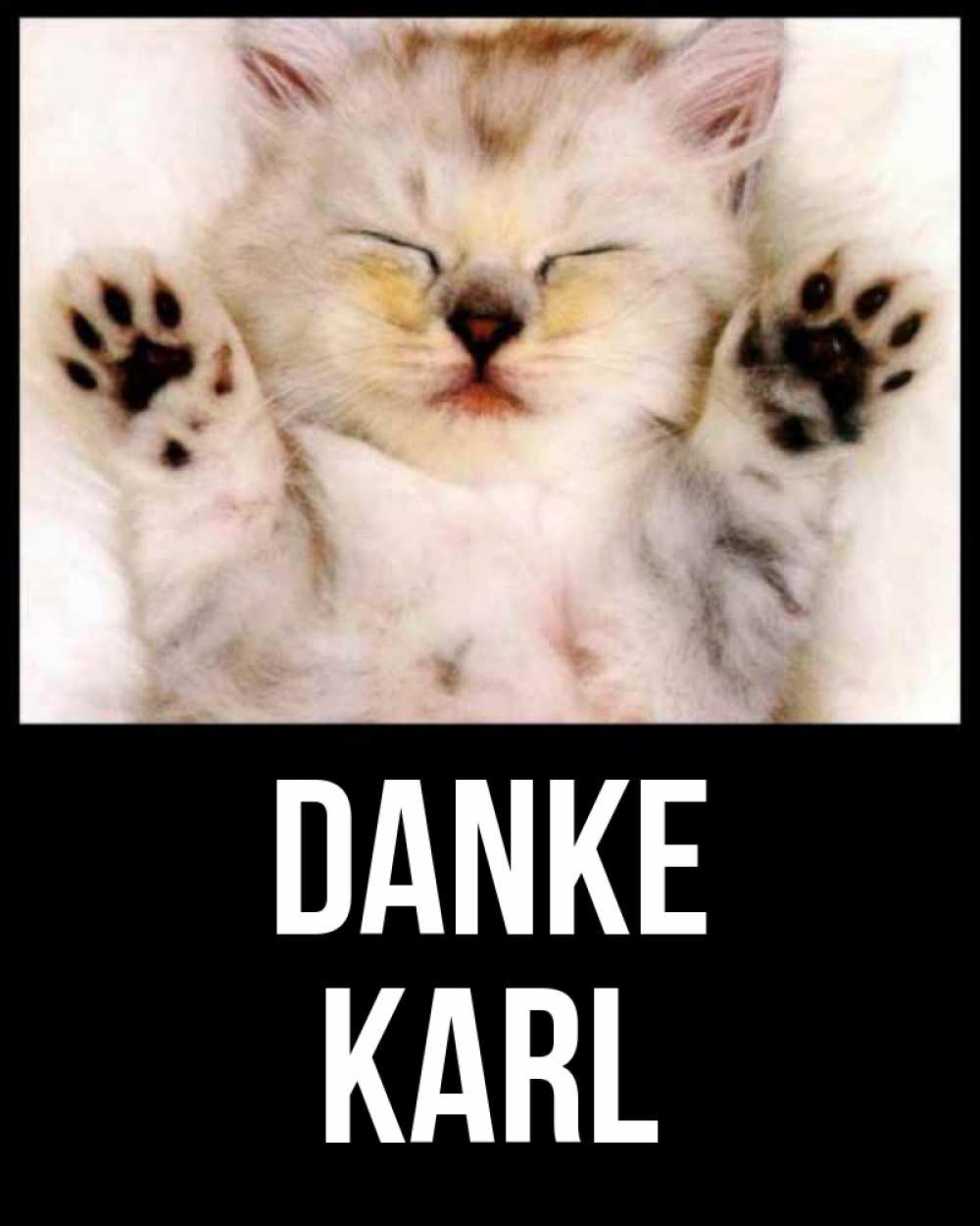 Открытка на каждый день с именем, Karl Danke маленький котенок Прикольная открытка с пожеланием онлайн скачать бесплатно 