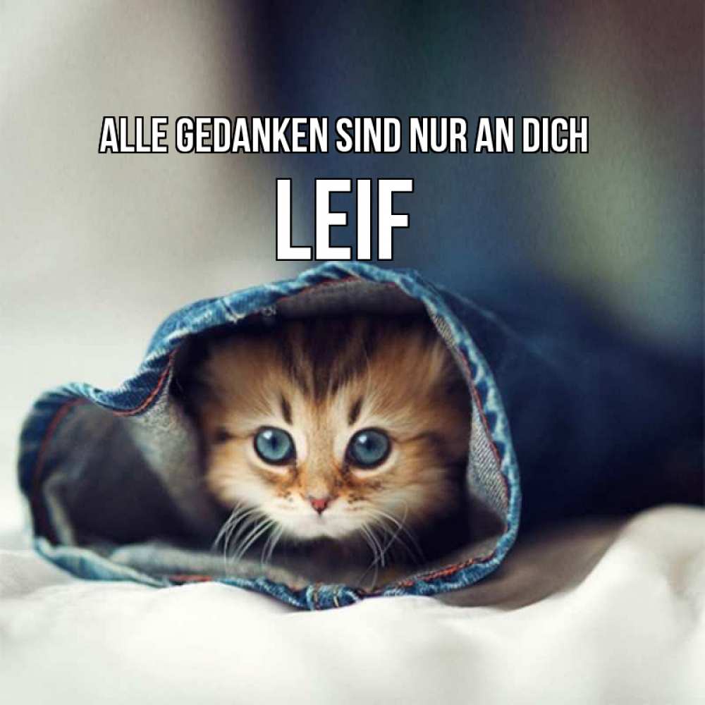 Открытка на каждый день с именем, Leif Alle Gedanken sind nur an dich мне без тебя плохо Прикольная открытка с пожеланием онлайн скачать бесплатно 