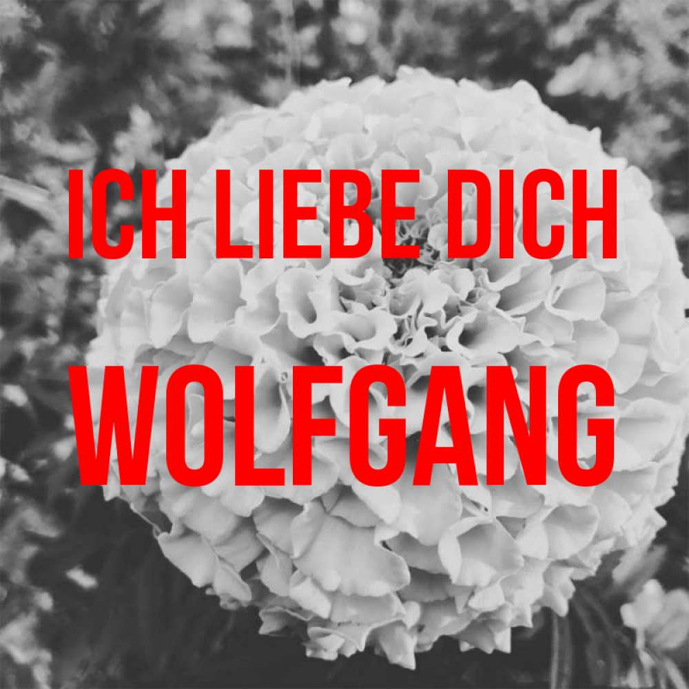 Открытка на каждый день с именем, Wolfgang Ich liebe dich подпись Прикольная открытка с пожеланием онлайн скачать бесплатно 