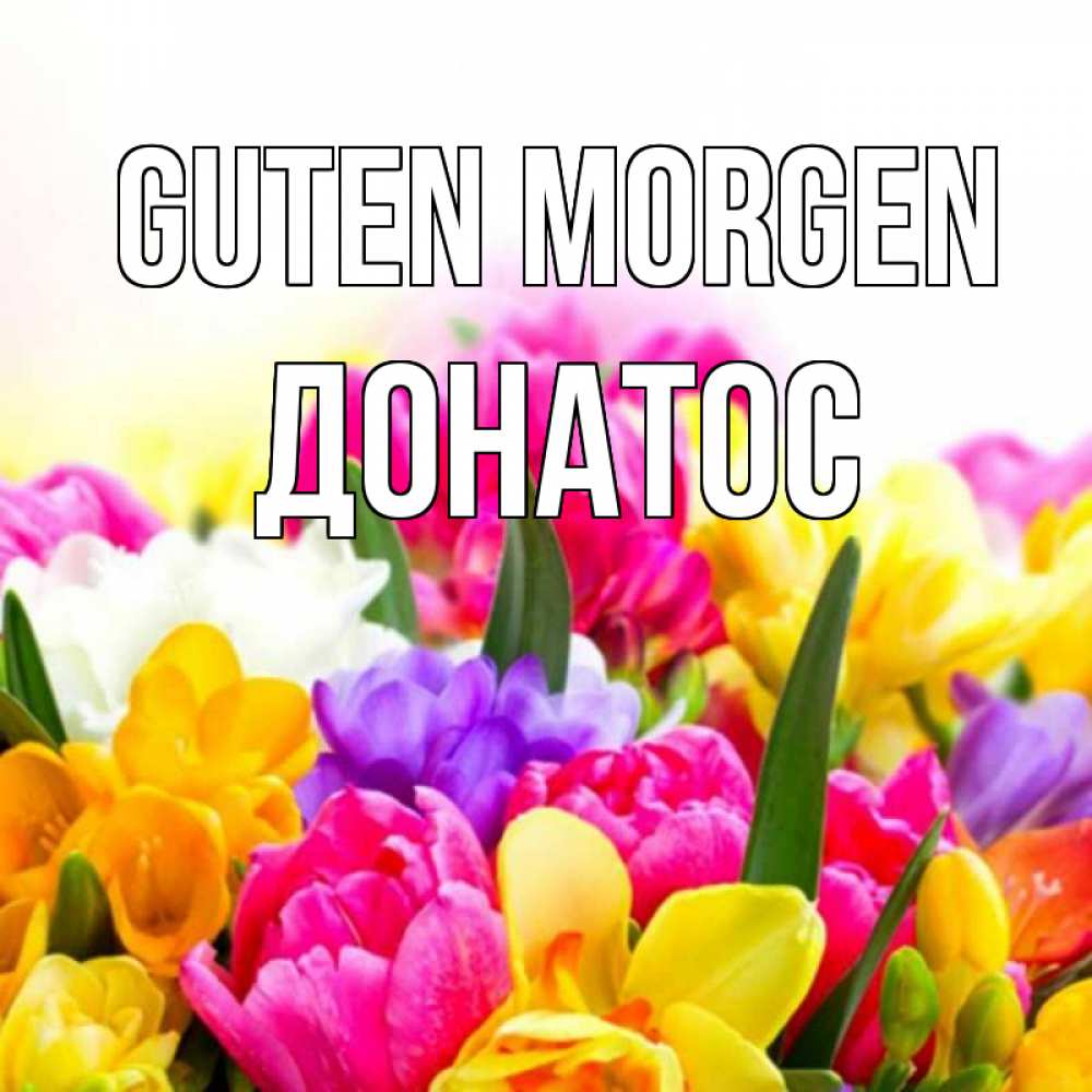 Открытка на каждый день с именем, Донатос Guten Morgen создать открытку со свое подписью Прикольная открытка с пожеланием онлайн скачать бесплатно 