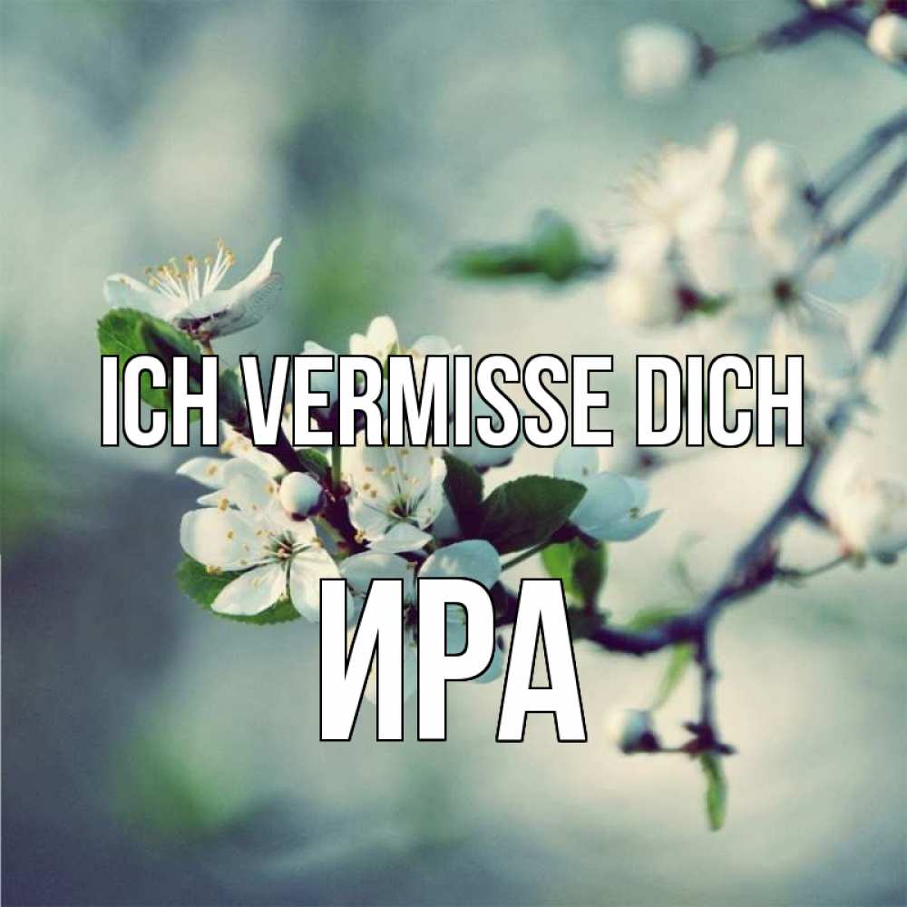 Открытка на каждый день с именем, Ира Ich vermisse dich весна Прикольная открытка с пожеланием онлайн скачать бесплатно 