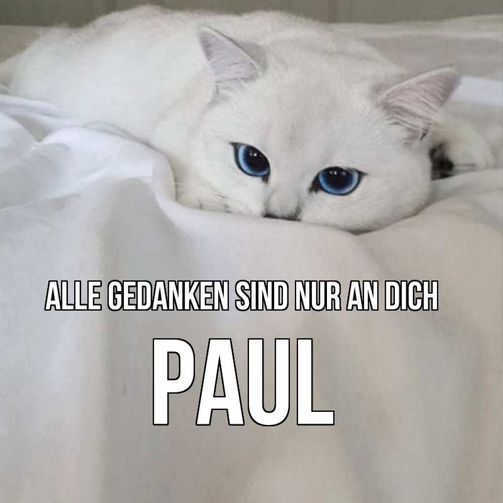 Открытка на каждый день с именем, Paul Alle Gedanken sind nur an dich я очень по тебе скучаю и тоскую Прикольная открытка с пожеланием онлайн скачать бесплатно 
