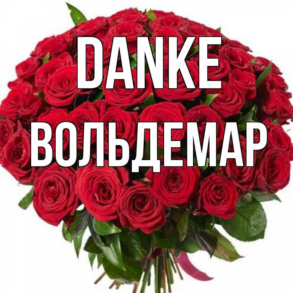 Открытка на каждый день с именем, Вольдемар Danke букет красных роз Прикольная открытка с пожеланием онлайн скачать бесплатно 