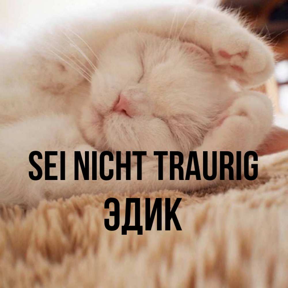 Открытка на каждый день с именем, Эдик Sei nicht traurig Котенок спит Прикольная открытка с пожеланием онлайн скачать бесплатно 