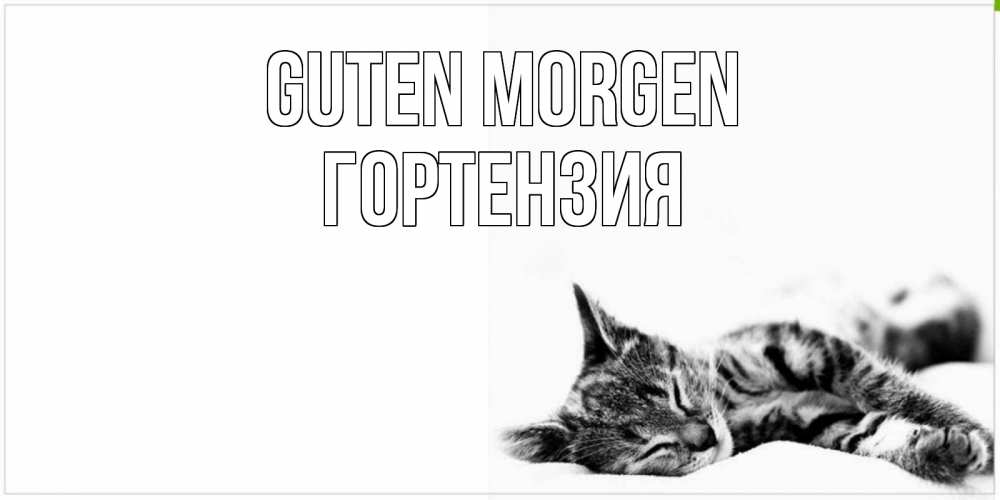 Открытка на каждый день с именем, Гортензия Guten Morgen котуся Прикольная открытка с пожеланием онлайн скачать бесплатно 