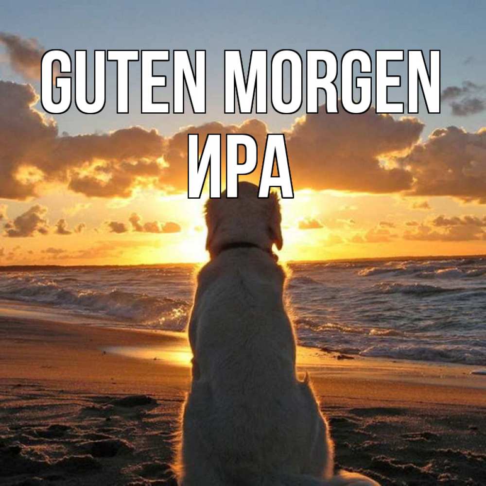Открытка на каждый день с именем, Ира Guten Morgen восход солнца Прикольная открытка с пожеланием онлайн скачать бесплатно 